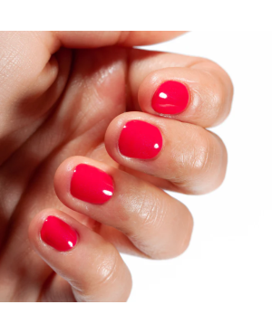 Gel Semipermanente Polish Rasberry MNP Mesauda 79 Nail Pro