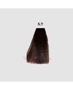 Hair color cream dye 100 ml 3x tube + oxygen 20 vol of 1000 ml Echosline without PPD and Resorcina