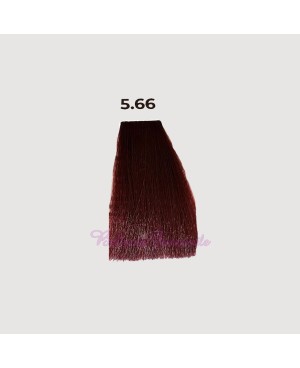 Hair color cream dye 100 ml 3x tube + oxygen 20 vol of 1000 ml Echosline without PPD and Resorcina