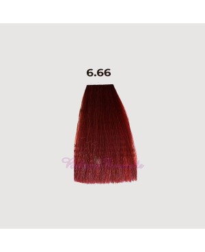 Hair color cream dye 100 ml 3x tube + oxygen 20 vol of 1000 ml Echosline without PPD and Resorcina