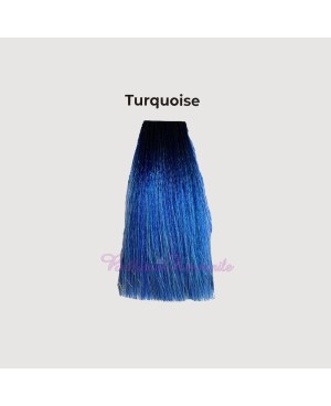 Hair color cream dye 100 ml 3x tube + oxygen 20 vol of 1000 ml Echosline without PPD and Resorcina